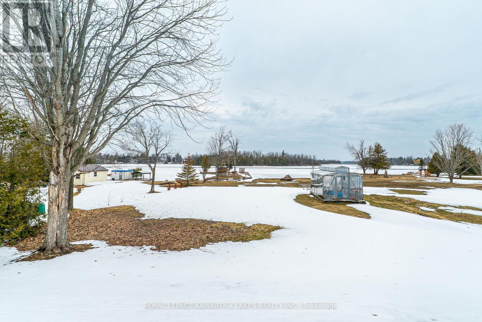63 Robinson Avenue, Kawartha Lakes, Ontario  K0M 2B0 - Photo 49 - X12929112