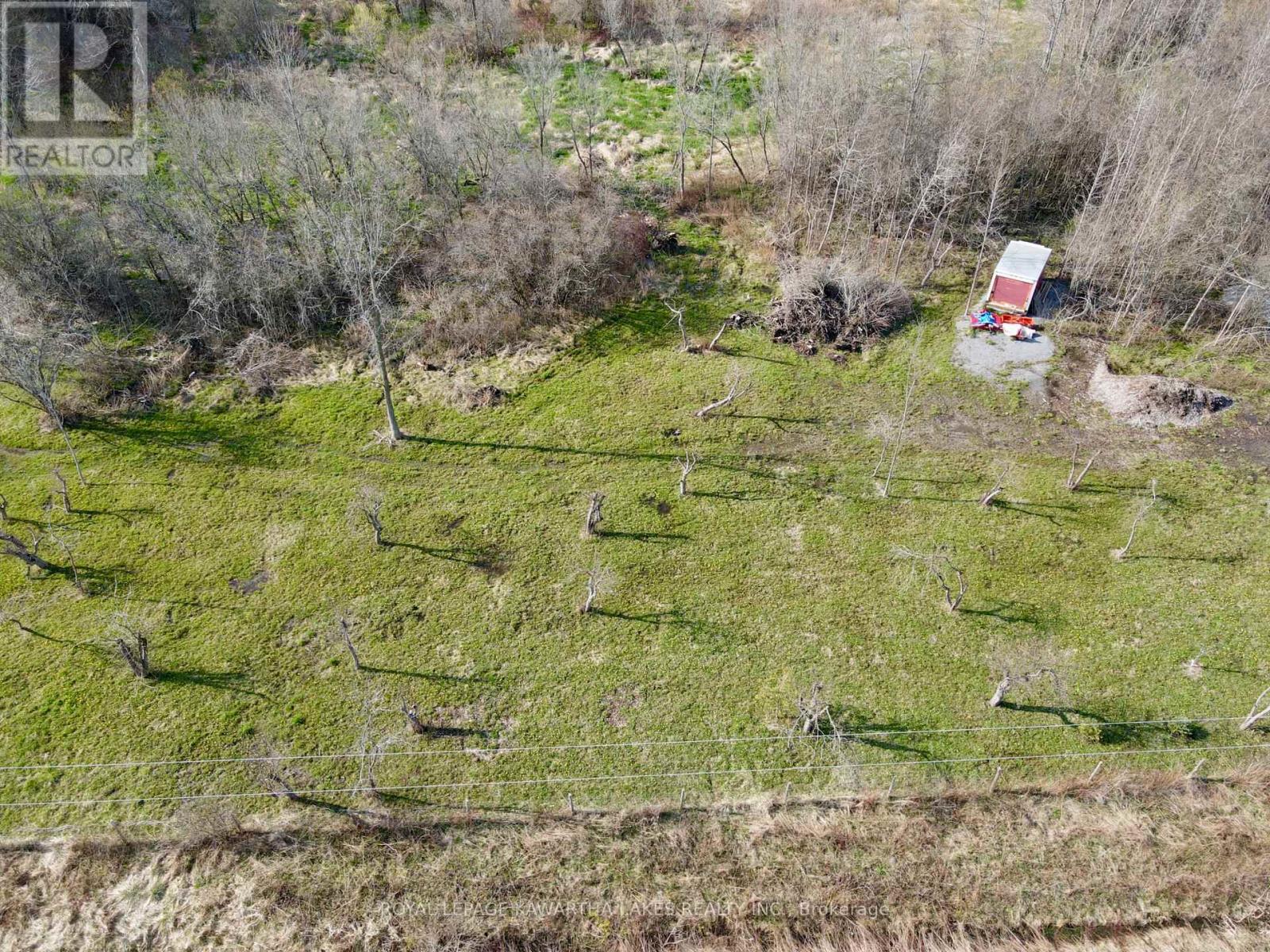 0 Concession 2 Road, Brock, Ontario  L0K 1A0 - Photo 11 - N12935088