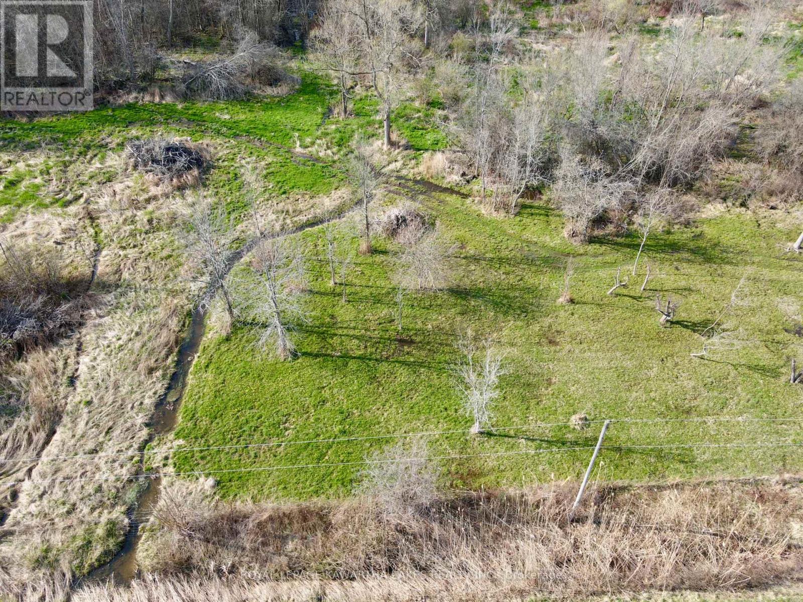 0 Concession 2 Road, Brock, Ontario  L0K 1A0 - Photo 12 - N12935088