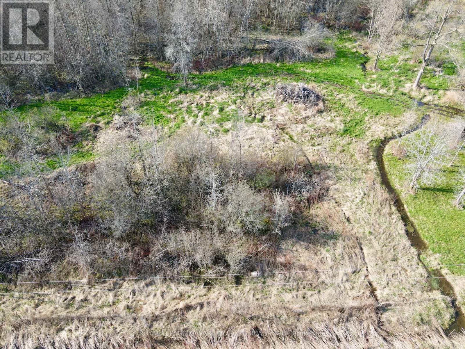 0 Concession 2 Road, Brock, Ontario  L0K 1A0 - Photo 13 - N12935088