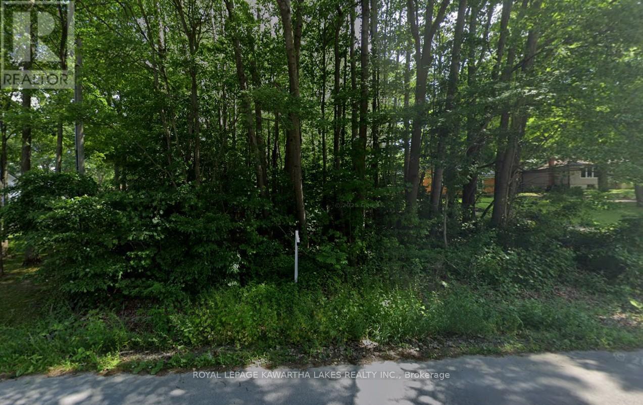 0 Poplar Drive, Hamilton Township, Ontario  K0L 1E0 - Photo 3 - X12942792