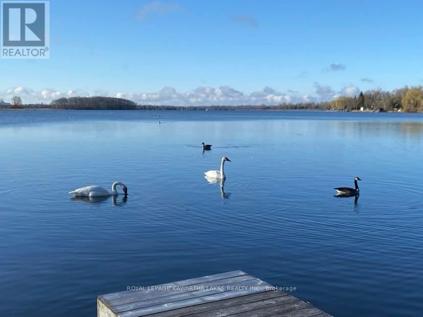 222 O'reilly Lane, Kawartha Lakes, Ontario  K0M 2C0 - Photo 45 - X12943082