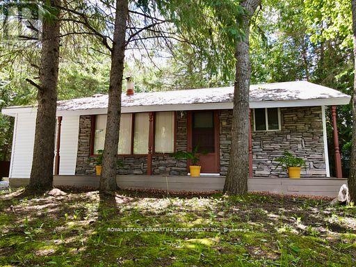 81 Mcguire Beach Road, Kawartha Lakes, Ontario  K0M 2B0 - Photo 10 - X12944454