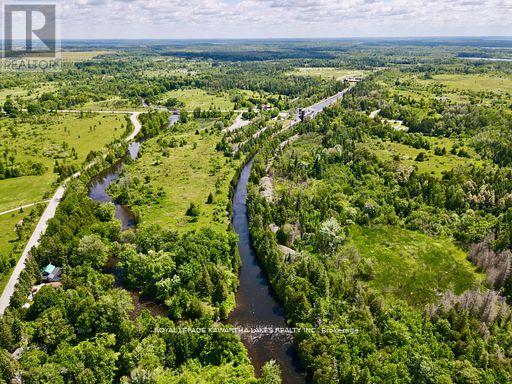 81 Mcguire Beach Road, Kawartha Lakes, Ontario  K0M 2B0 - Photo 2 - X12944454