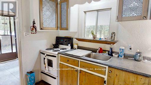 81 Mcguire Beach Road, Kawartha Lakes, Ontario  K0M 2B0 - Photo 28 - X12944454
