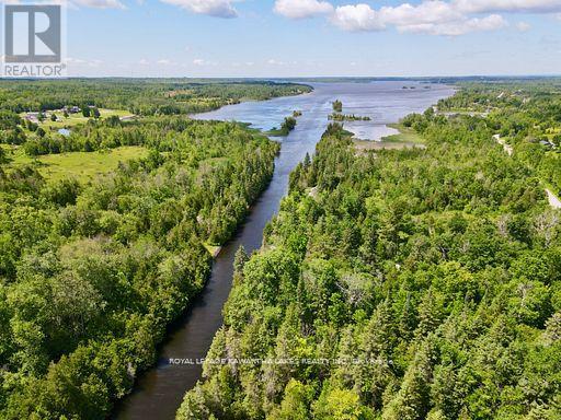 81 Mcguire Beach Road, Kawartha Lakes, Ontario  K0M 2B0 - Photo 3 - X12944454