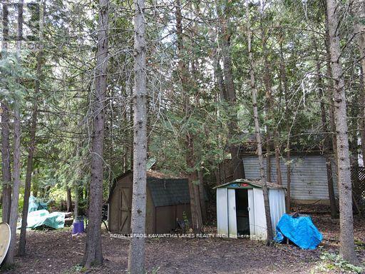 81 Mcguire Beach Road, Kawartha Lakes, Ontario  K0M 2B0 - Photo 43 - X12944454