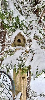 81 Mcguire Beach Road, Kawartha Lakes, Ontario  K0M 2B0 - Photo 45 - X12944454