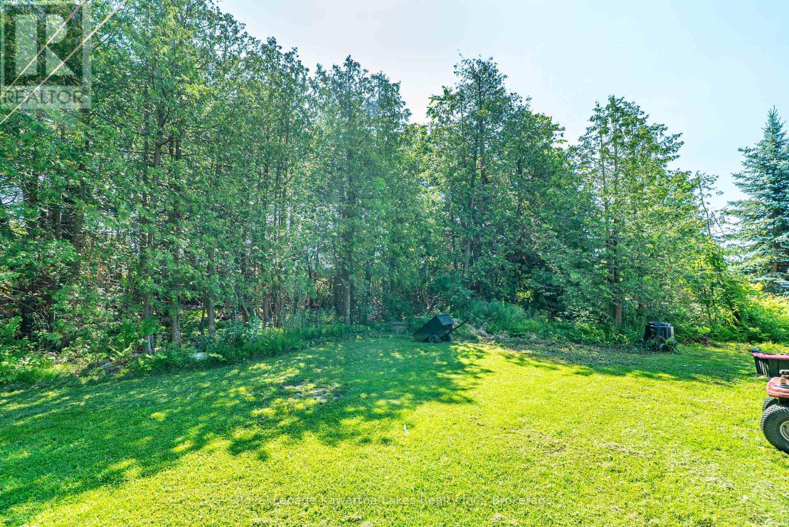 70 Blythe Shore Road, Kawartha Lakes, Ontario  K0M 1N0 - Photo 29 - X12950582