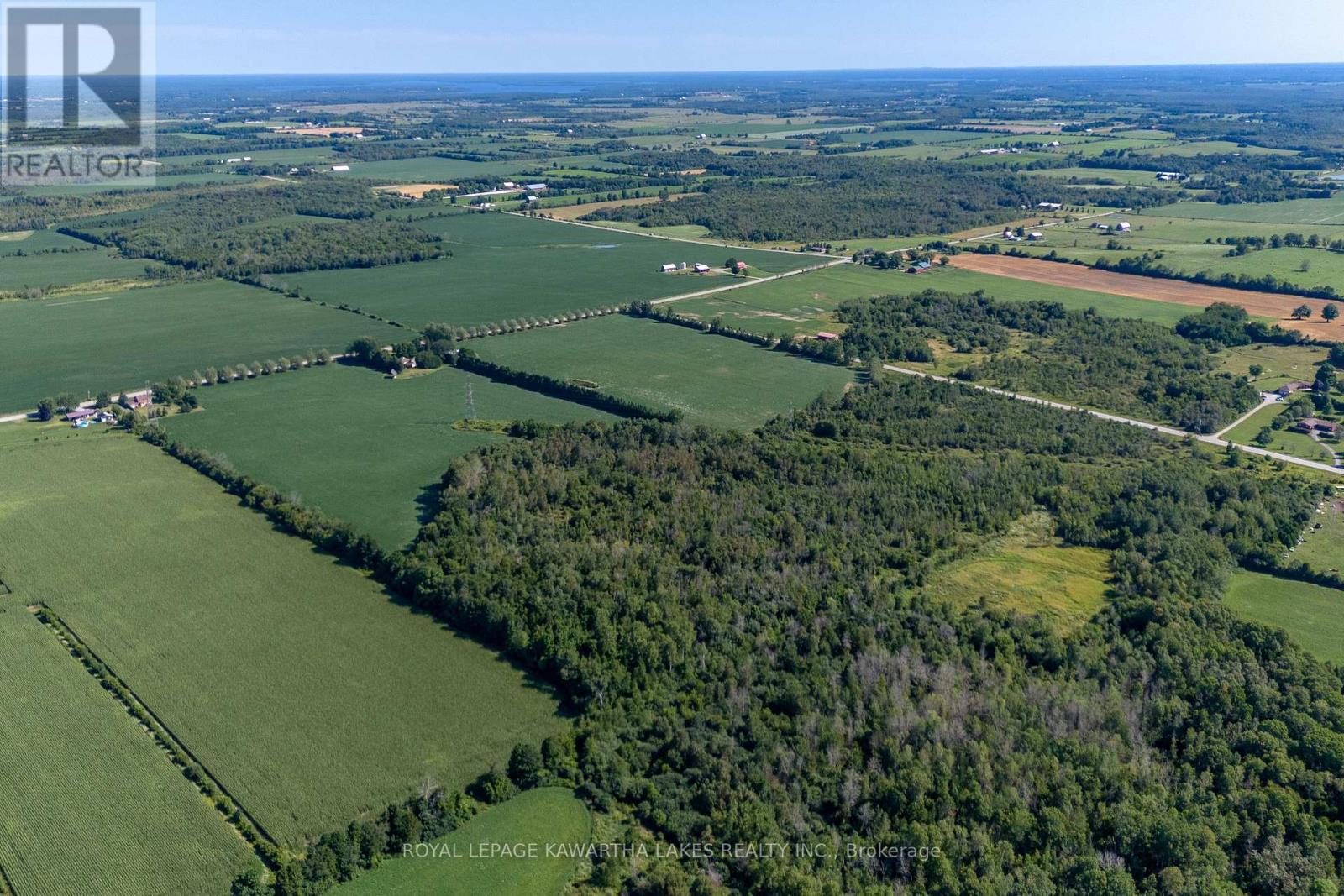 890 Woodville Road, Kawartha Lakes, Ontario  K0M 2T0 - Photo 44 - X12951698