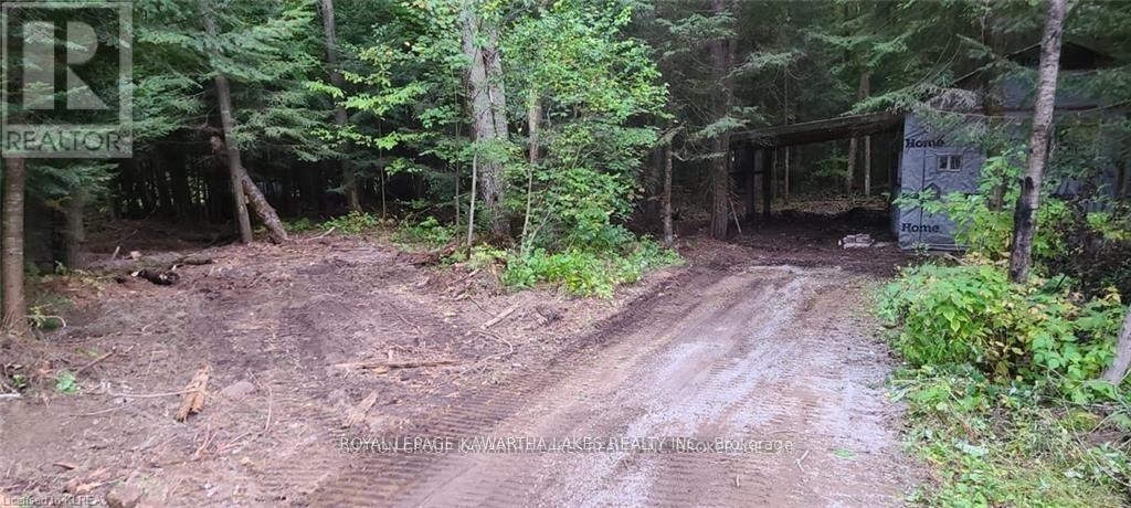 7545 Highway 35, Kawartha Lakes, Ontario  K0M 2L0 - Photo 4 - X12995858