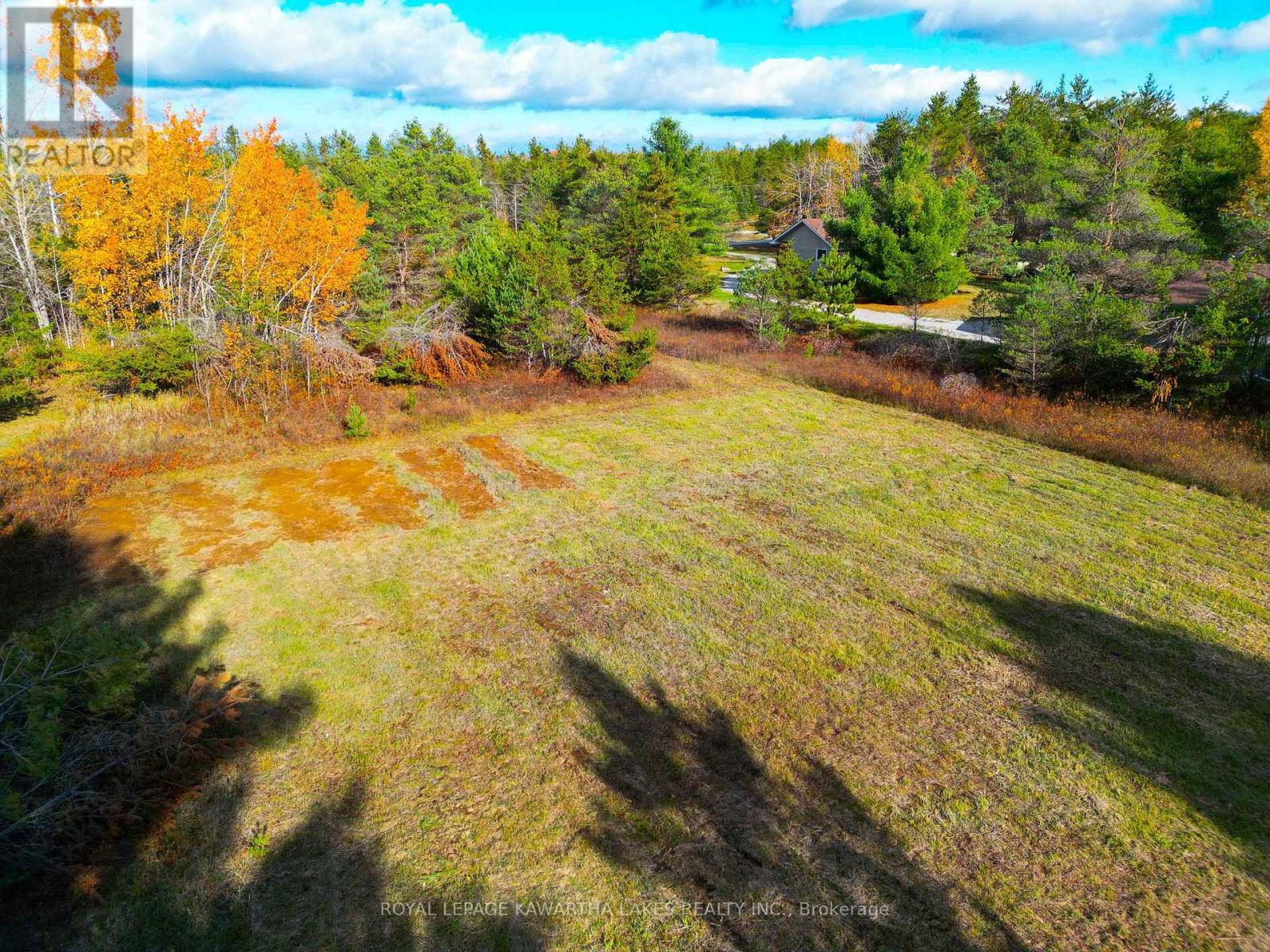 Lt 36 Hodgson Drive, Kawartha Lakes, Ontario  K0M 1C0 - Photo 7 - X13018478