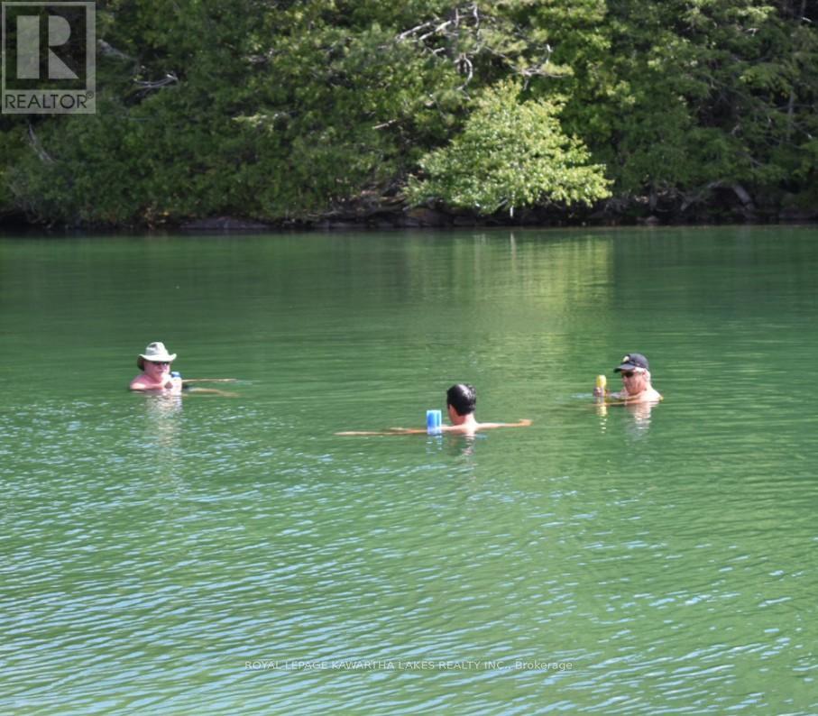 51 Buelow Road, Bonnechere Valley, Ontario  K0J 1T0 - Photo 10 - X13052296