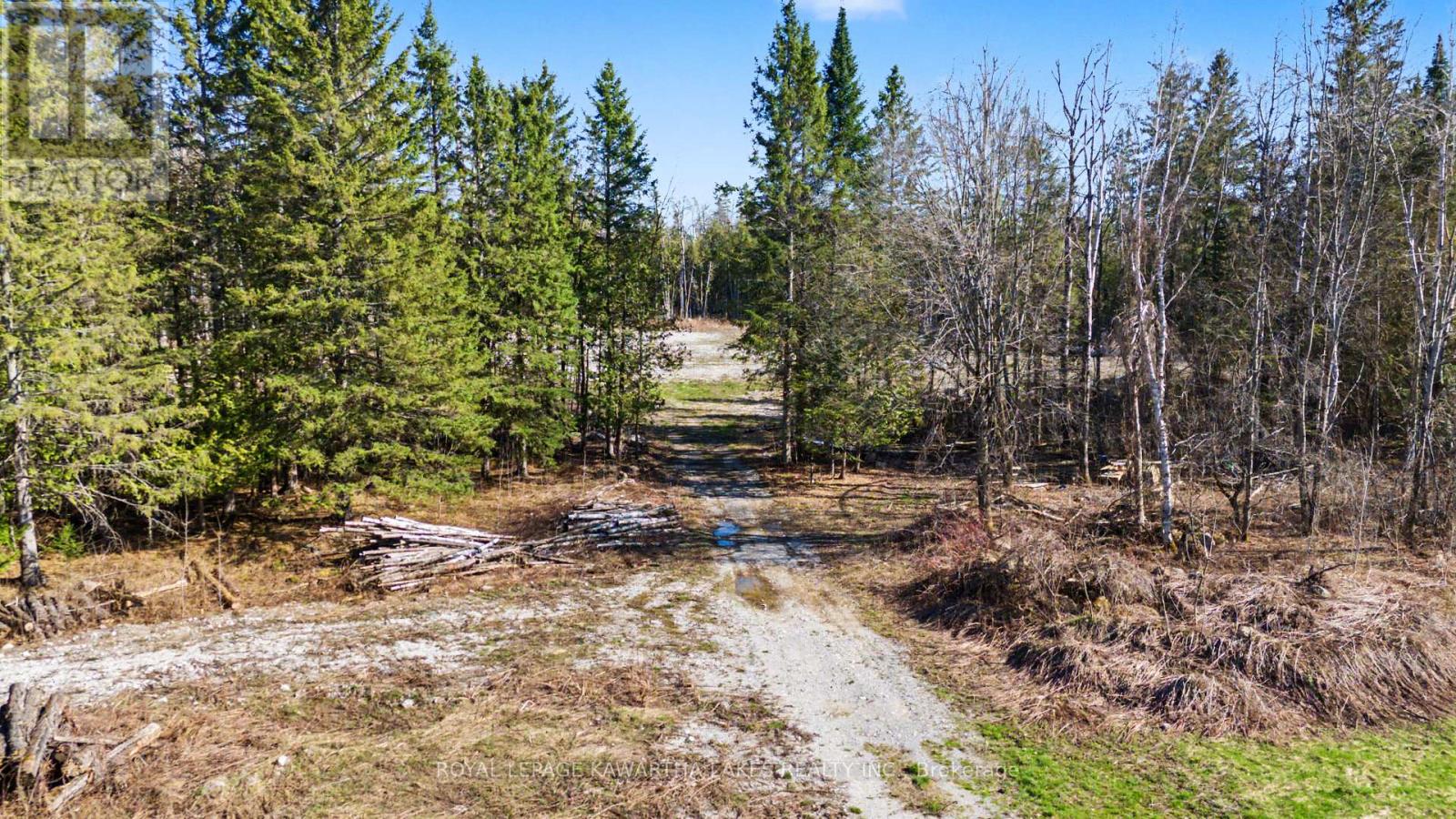 6369 Highway 35, Kawartha Lakes, Ontario  K0M 1K0 - Photo 4 - X13052316