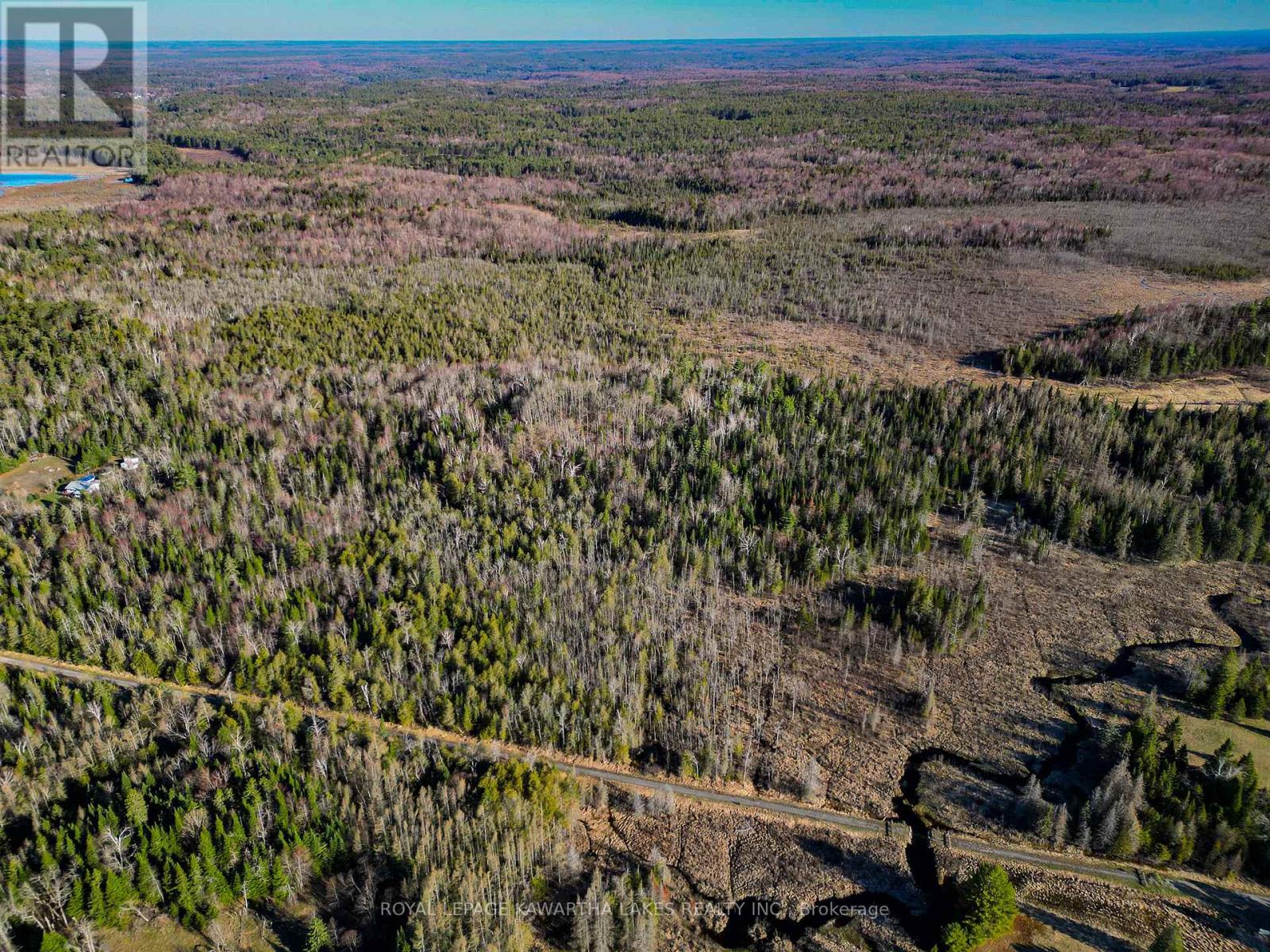 Lt 4 Dutch Line Road W, Trent Lakes, Ontario  K0M 2A0 - Photo 3 - X13076660