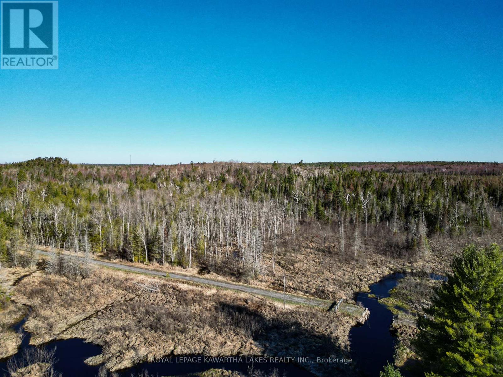 Lt 4 Dutch Line Road W, Trent Lakes, Ontario  K0M 2A0 - Photo 8 - X13076660