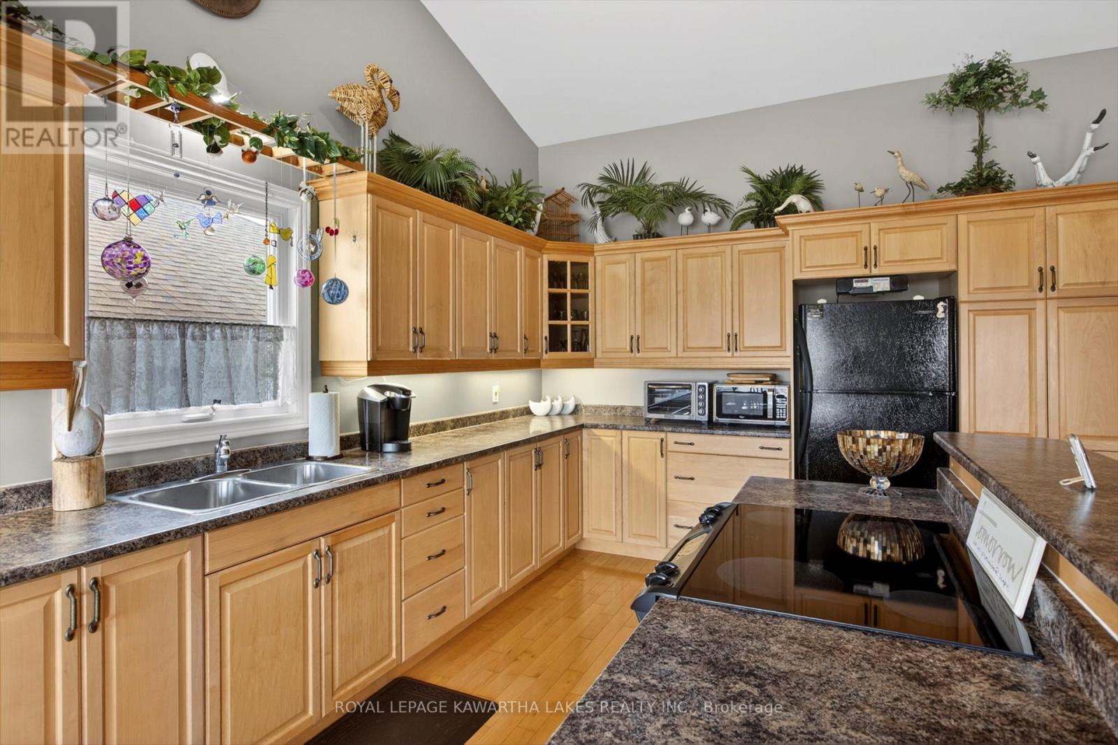 376 Wallace Drive, Kawartha Lakes, Ontario  K9V 6K7 - Photo 11 - X13077012