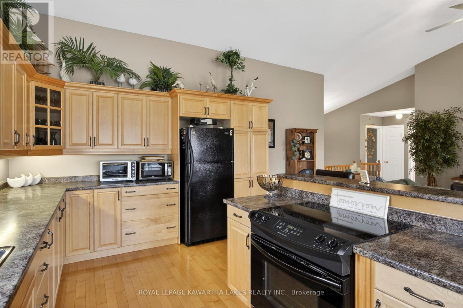 376 Wallace Drive, Kawartha Lakes, Ontario  K9V 6K7 - Photo 13 - X13077012