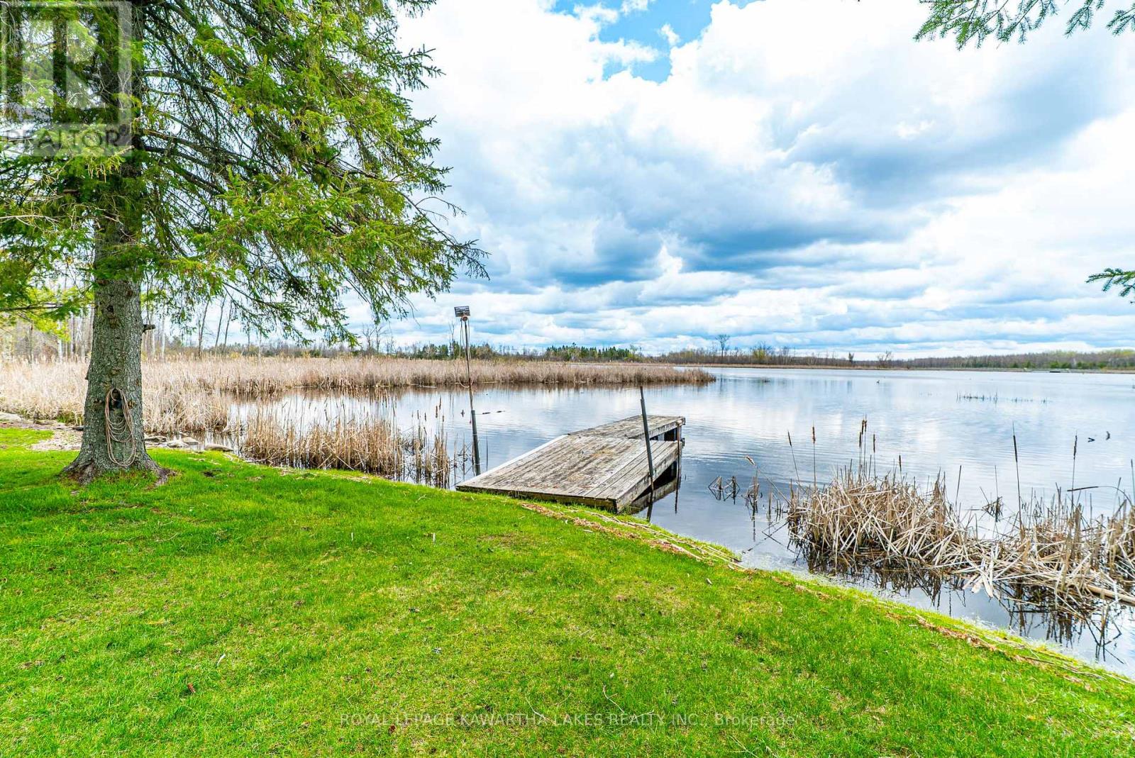 1 Bridle Road, Kawartha Lakes, Ontario  K9V 4R2 - Photo 43 - X13077400