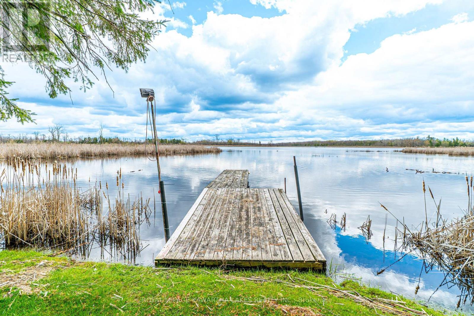 1 Bridle Road, Kawartha Lakes, Ontario  K9V 4R2 - Photo 44 - X13077400