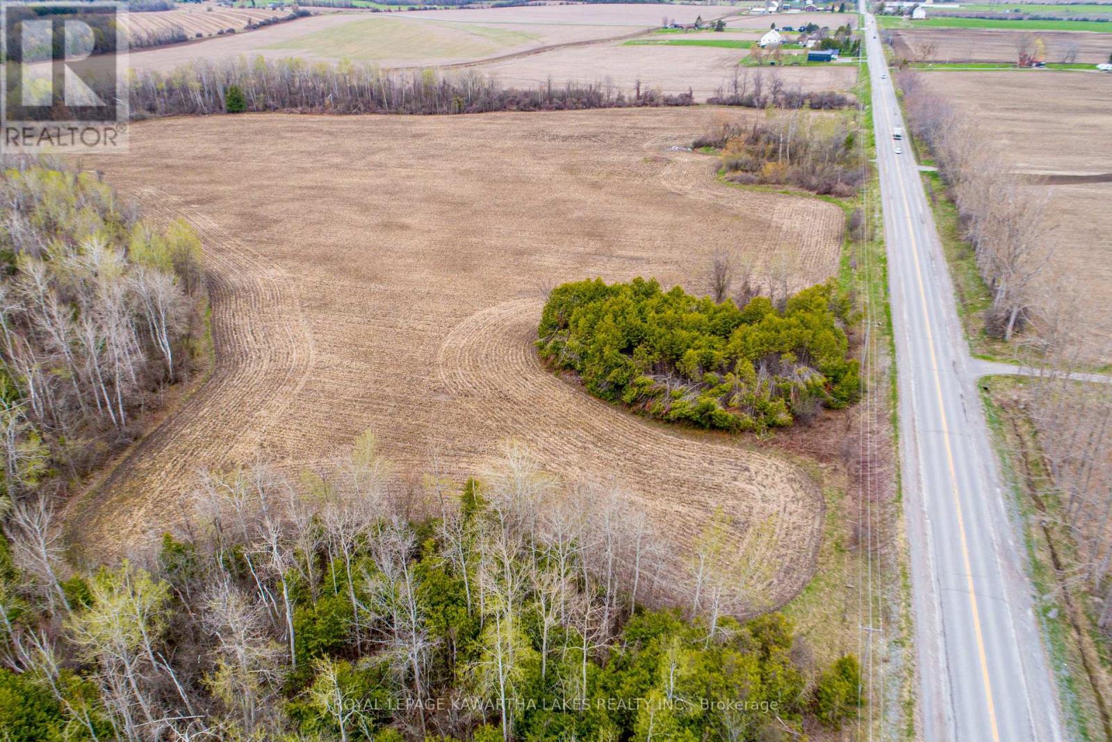 890 Ramsey Road, Kawartha Lakes, Ontario  K0M 2C0 - Photo 13 - X13079264