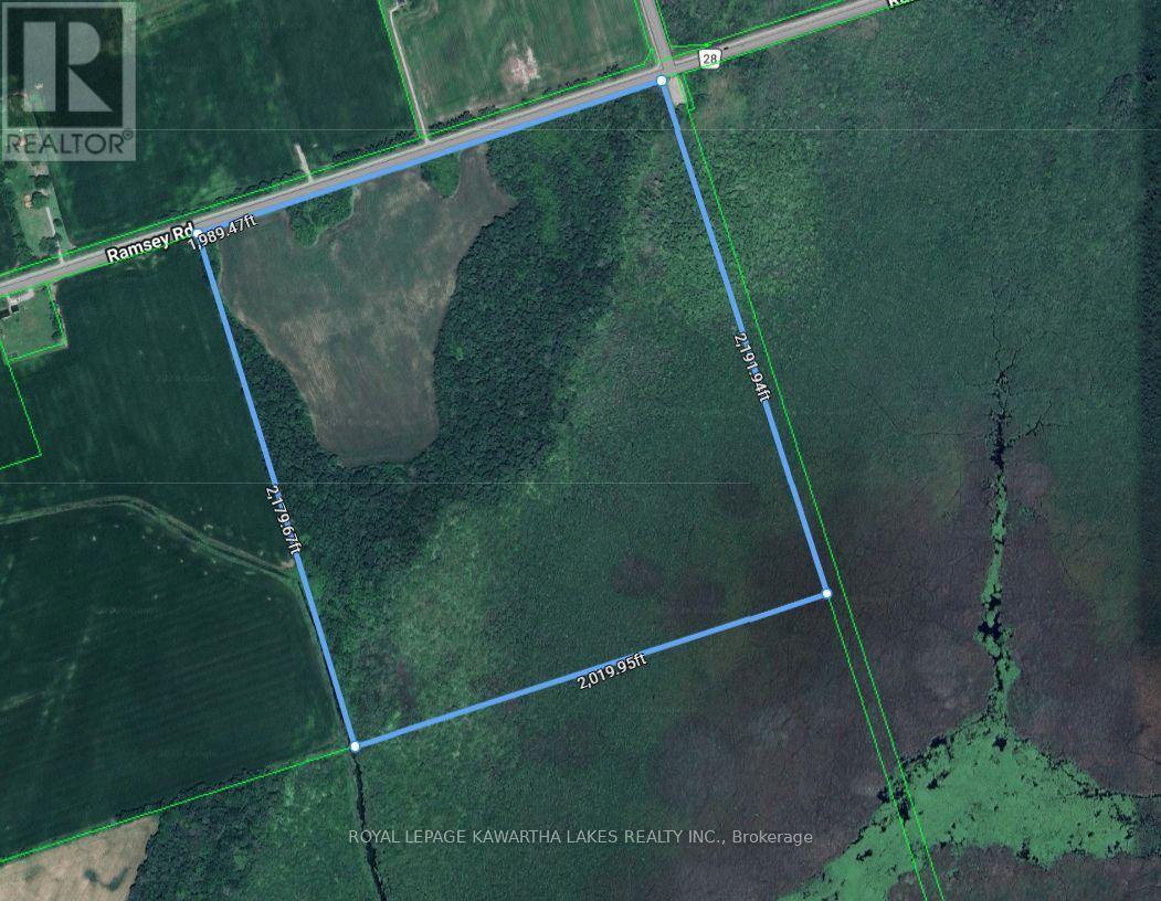890 Ramsey Road, Kawartha Lakes, Ontario  K0M 2C0 - Photo 18 - X13079264