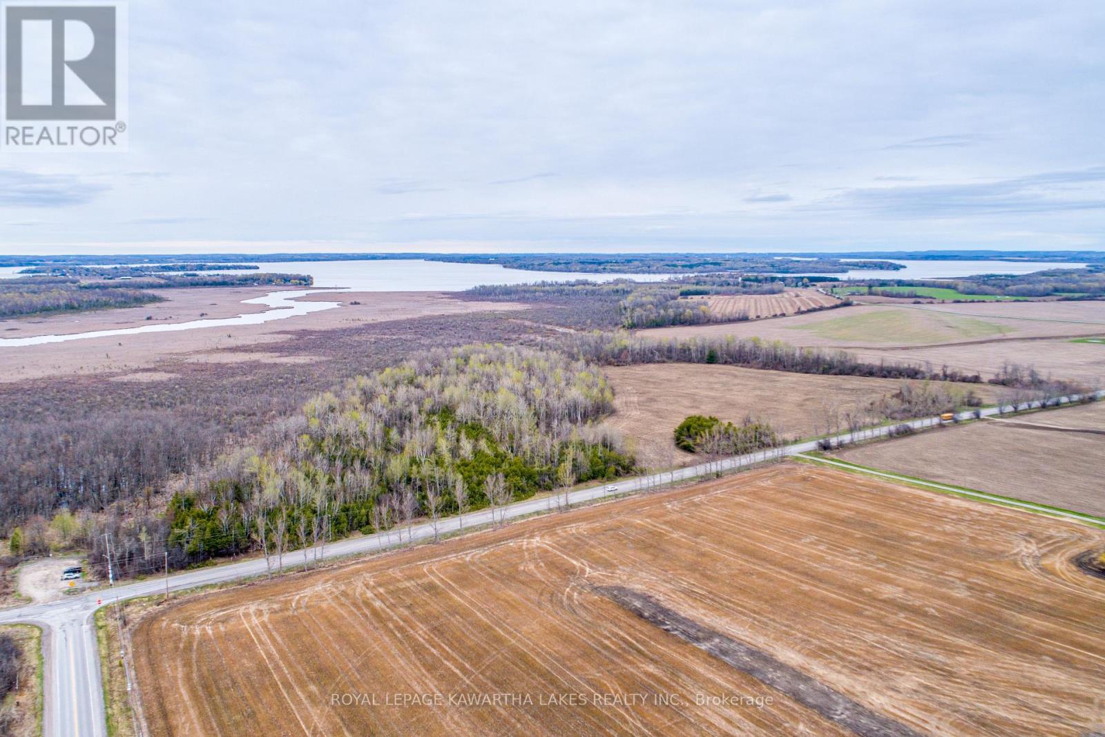 890 Ramsey Road, Kawartha Lakes, Ontario  K0M 2C0 - Photo 2 - X13079264
