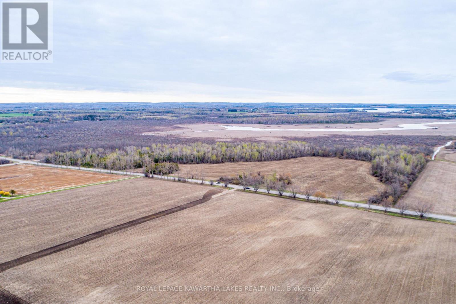 890 Ramsey Road, Kawartha Lakes, Ontario  K0M 2C0 - Photo 5 - X13079264
