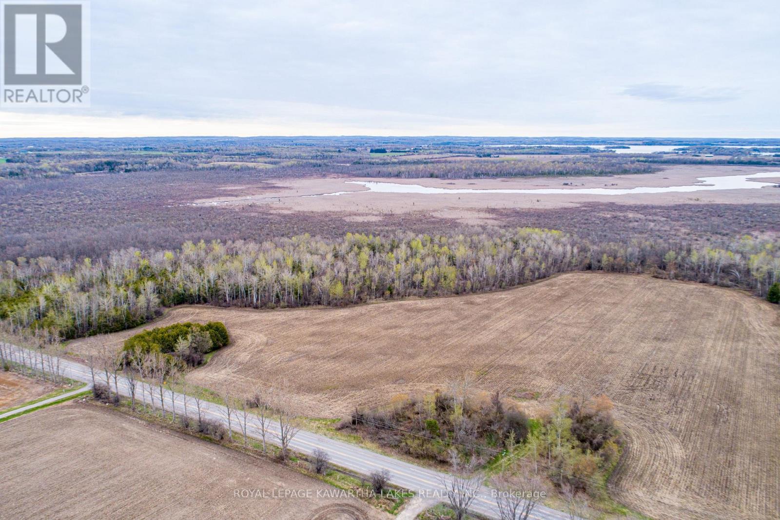 890 Ramsey Road, Kawartha Lakes, Ontario  K0M 2C0 - Photo 6 - X13079264