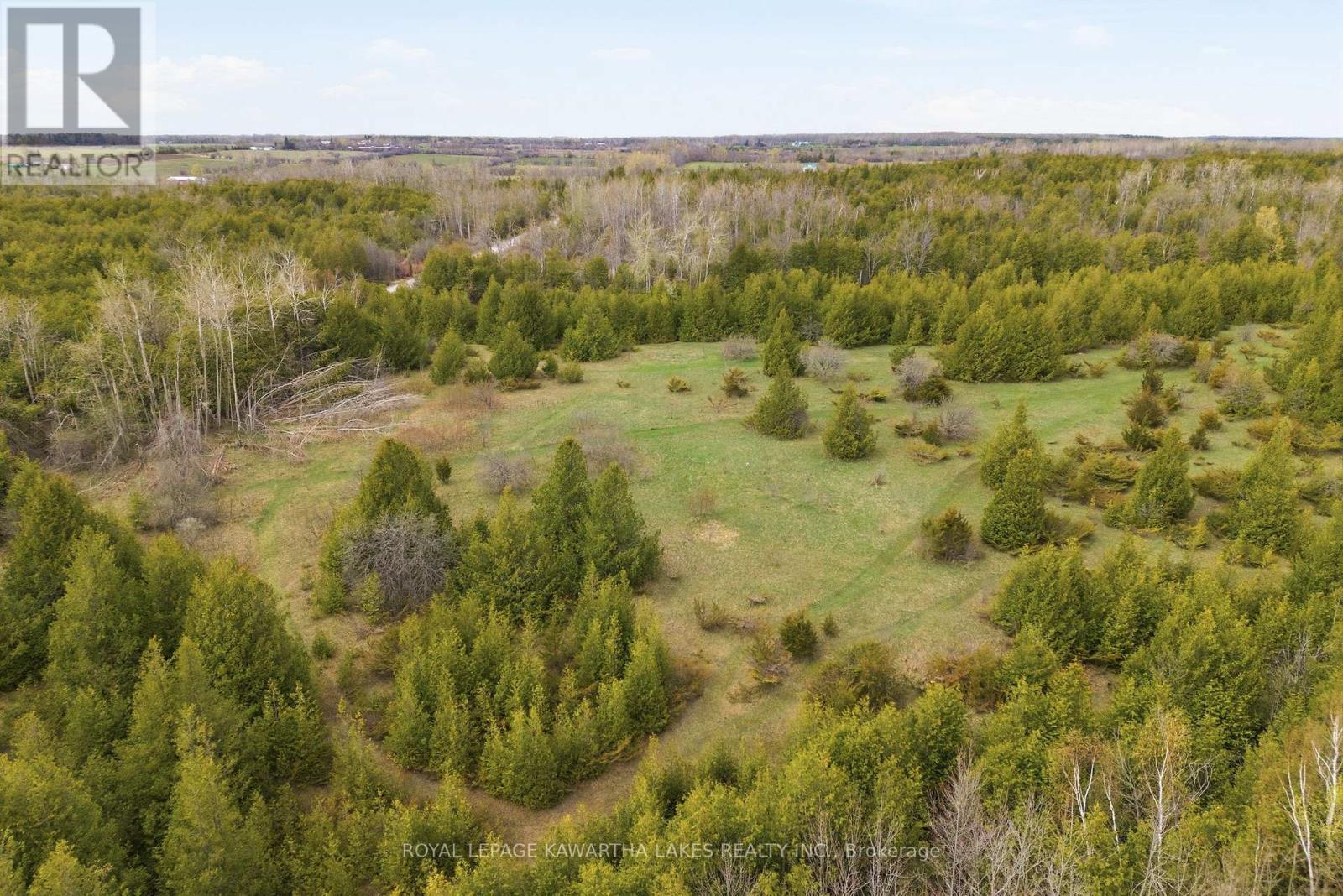 Pt Lt 17 Southside Road, Kawartha Lakes, Ontario  K9V 4R5 - Photo 22 - X13080968