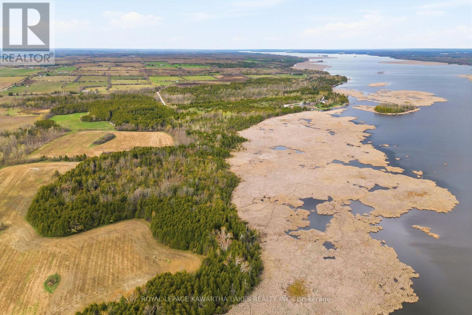 Pt Lt 17 Southside Road, Kawartha Lakes, Ontario  K9V 4R5 - Photo 8 - X13080968