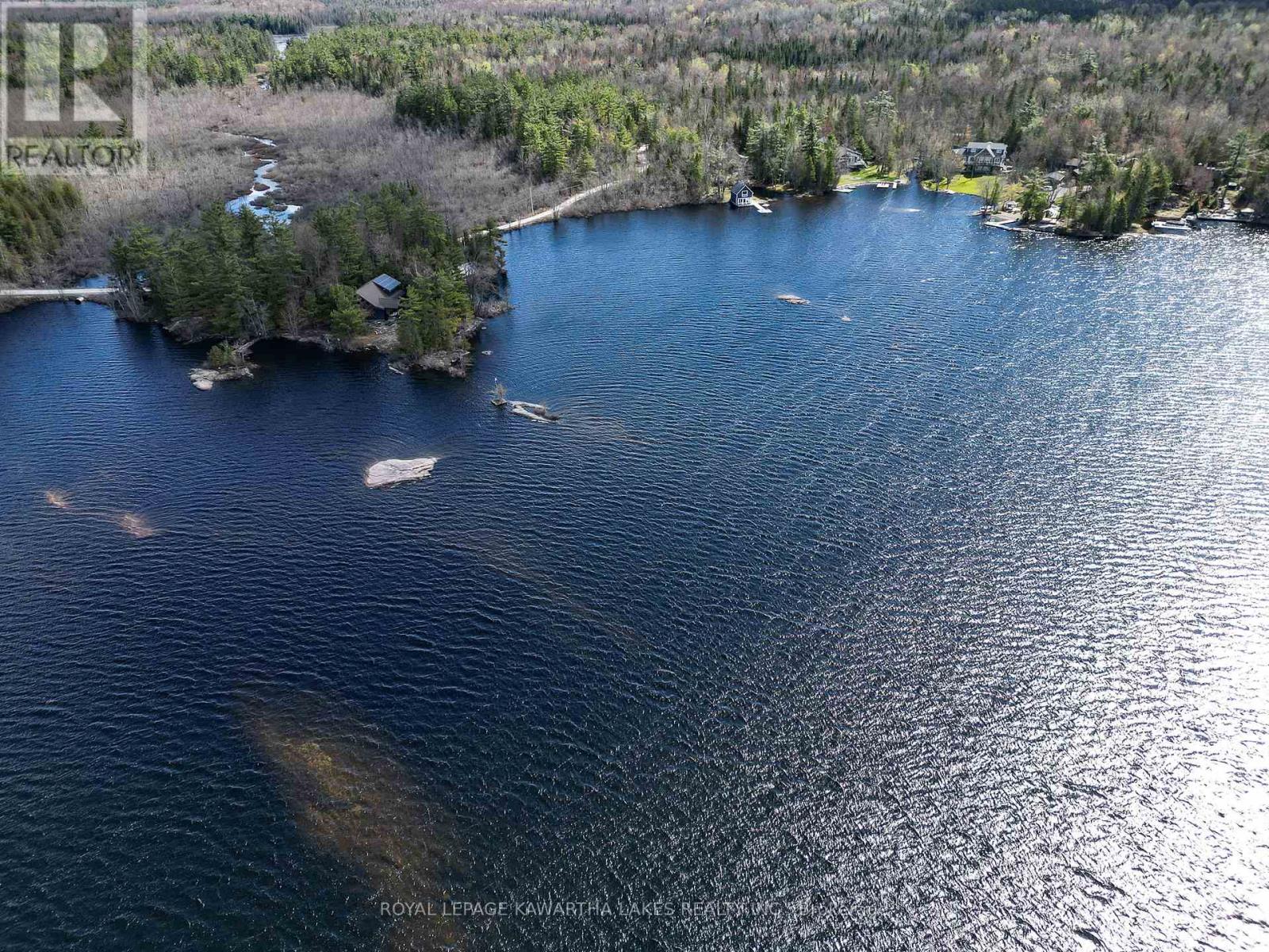 11 Woodworth Drive, Kawartha Lakes, Ontario  K0M 1C0 - Photo 42 - X13114822