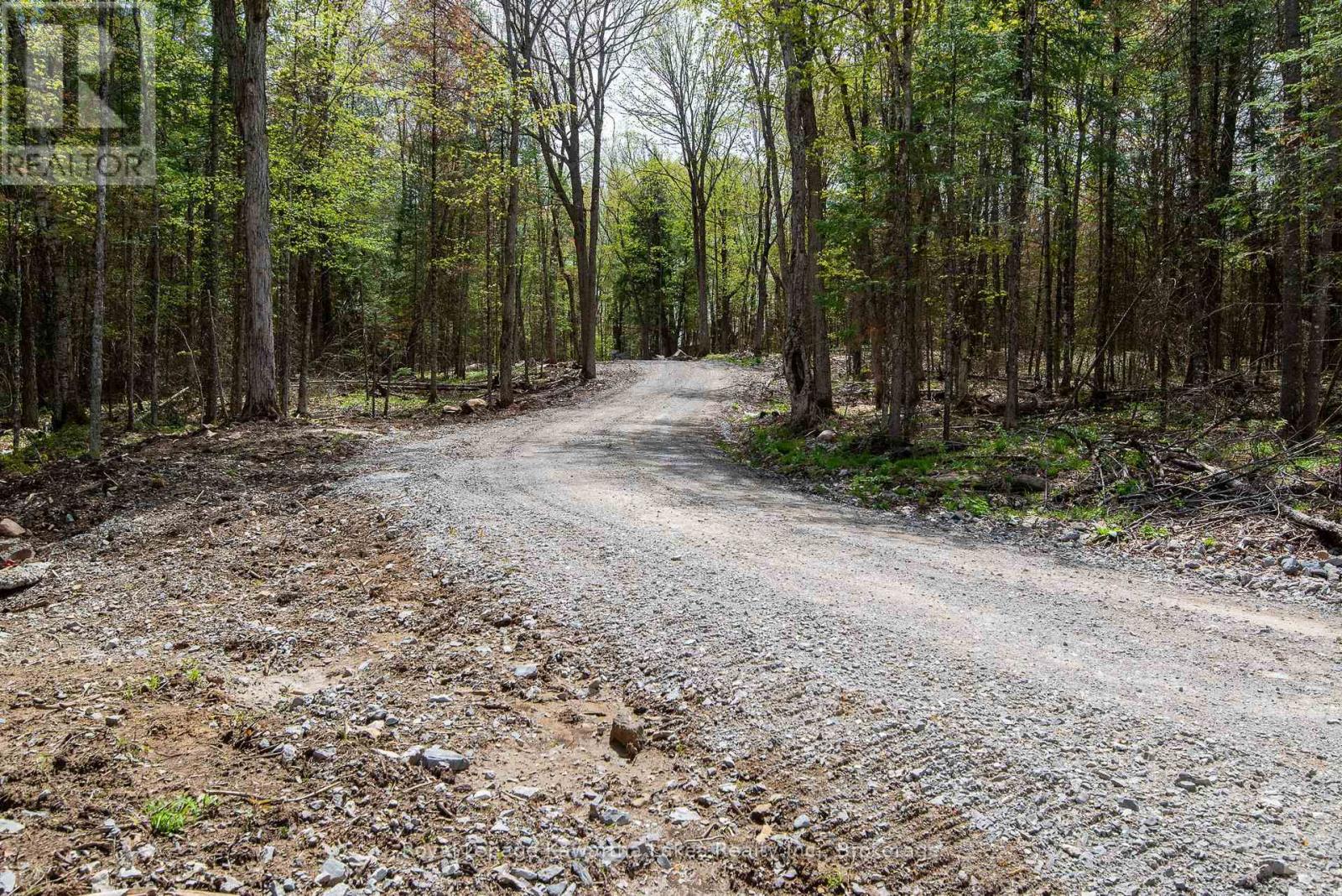 1851 Contau Lake Road, Highlands East, Ontario  K0M 1R0 - Photo 41 - X13173978