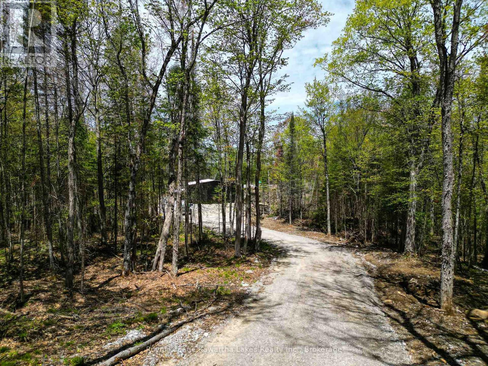 1851 Contau Lake Road, Highlands East, Ontario  K0M 1R0 - Photo 42 - X13173978