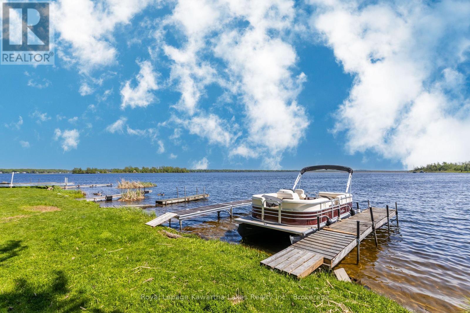 236 Crosby Drive, Kawartha Lakes, Ontario  K0M 1A0 - Photo 32 - X13212334