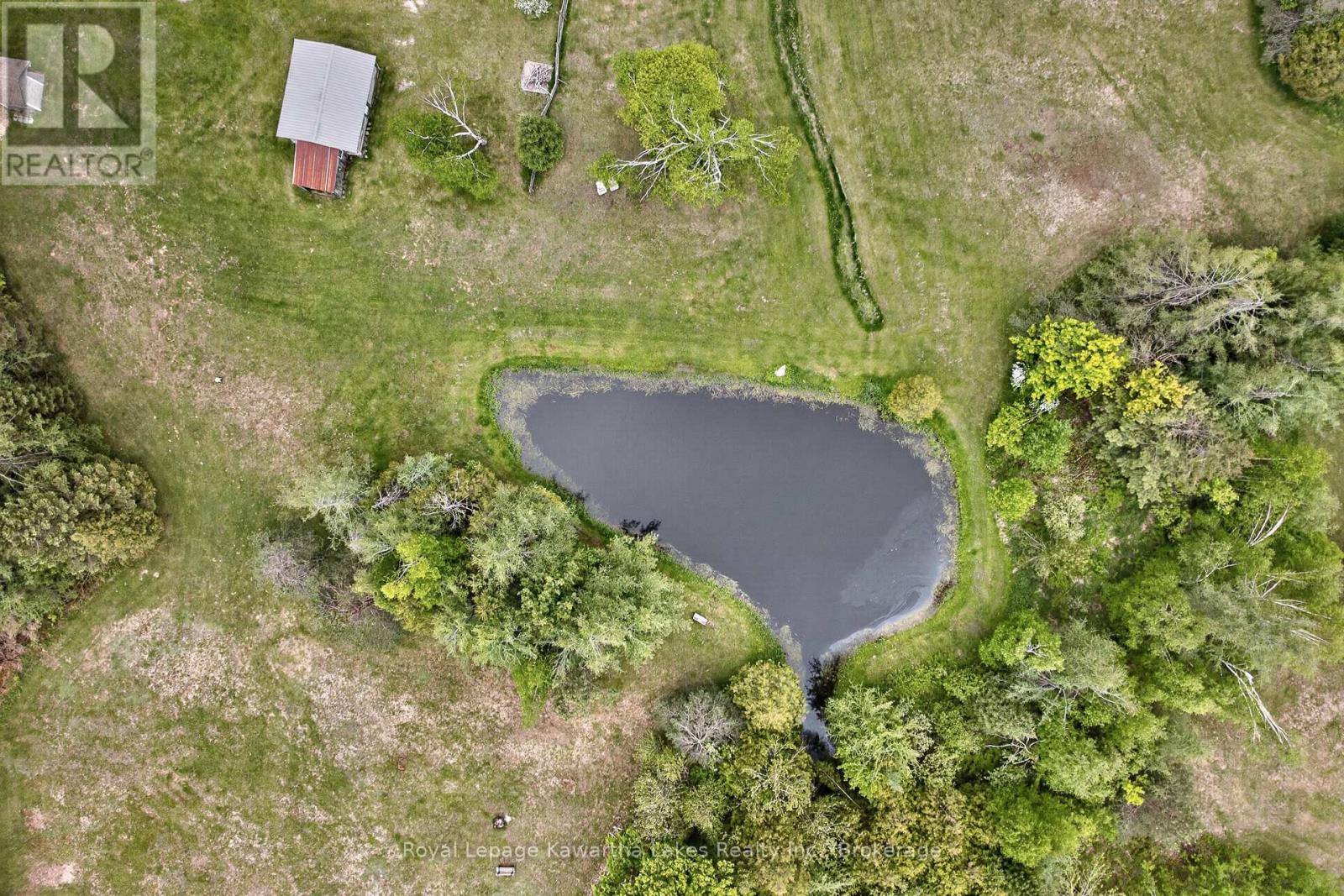 3580 County Road 121, Trent Lakes, Ontario  K0M 2A0 - Photo 41 - X13220470
