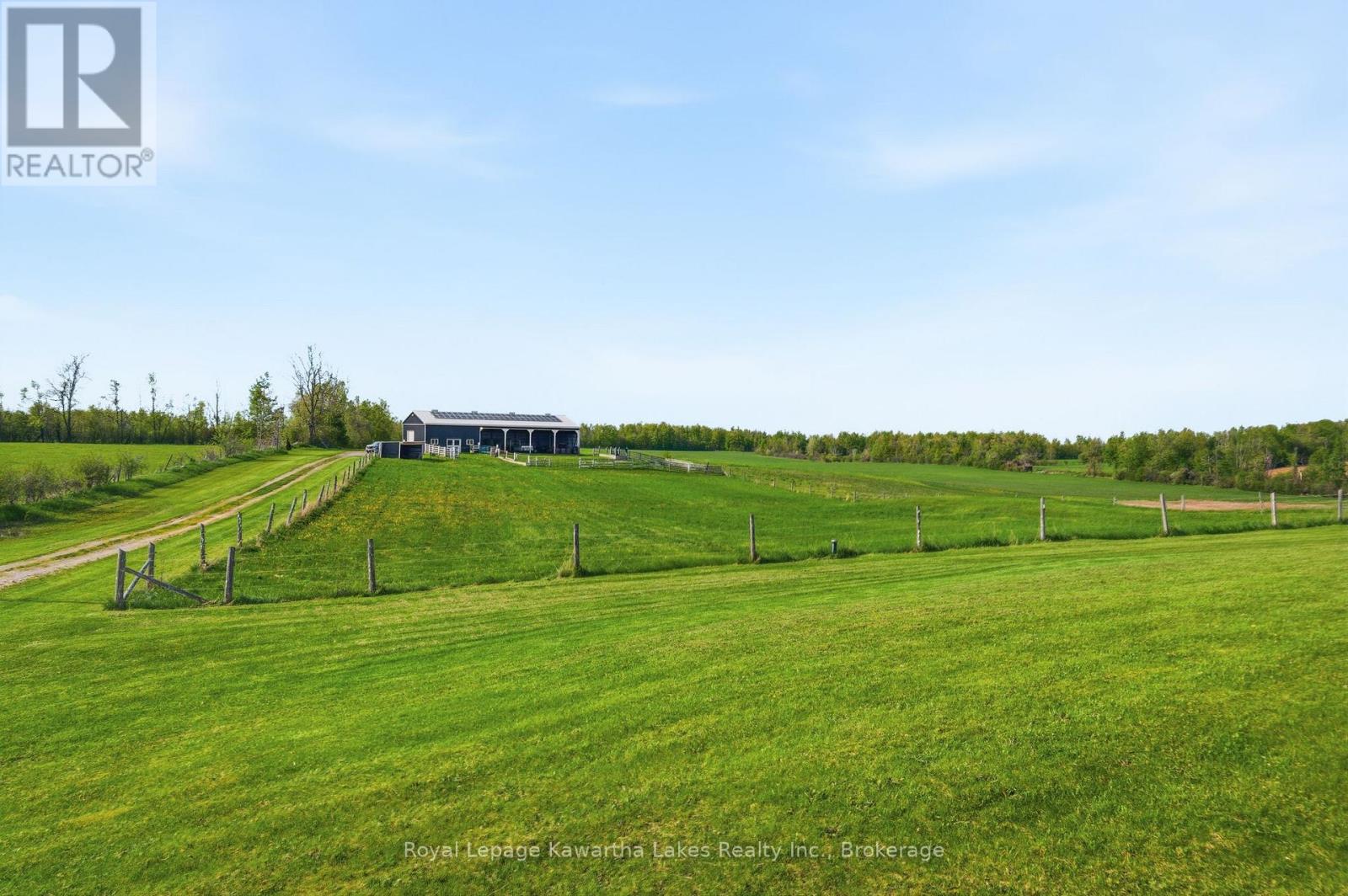 431 Meadowview Road, Kawartha Lakes, Ontario  K0L 2W0 - Photo 42 - X13226522