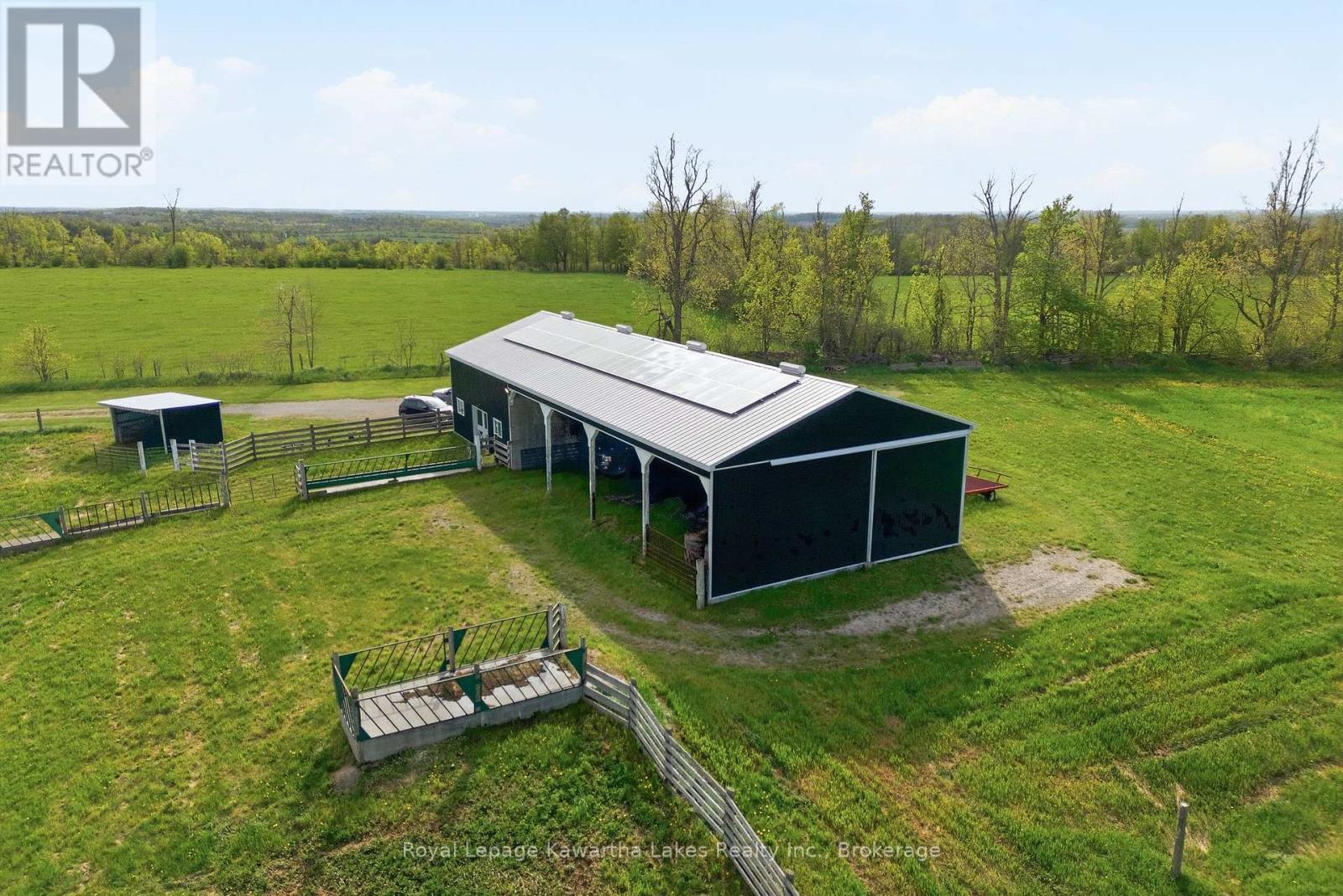 431 Meadowview Road, Kawartha Lakes, Ontario  K0L 2W0 - Photo 7 - X13226522