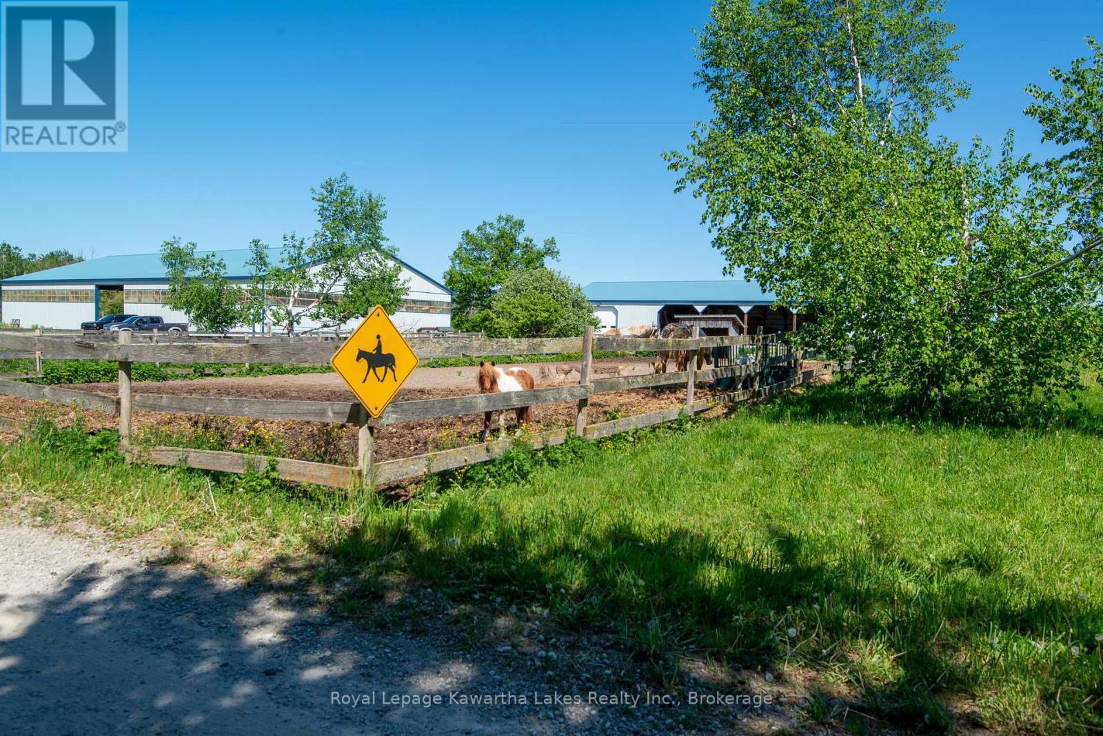 2435 Elm Tree Road, Kawartha Lakes, Ontario  K0M 1E0 - Photo 27 - X13243310