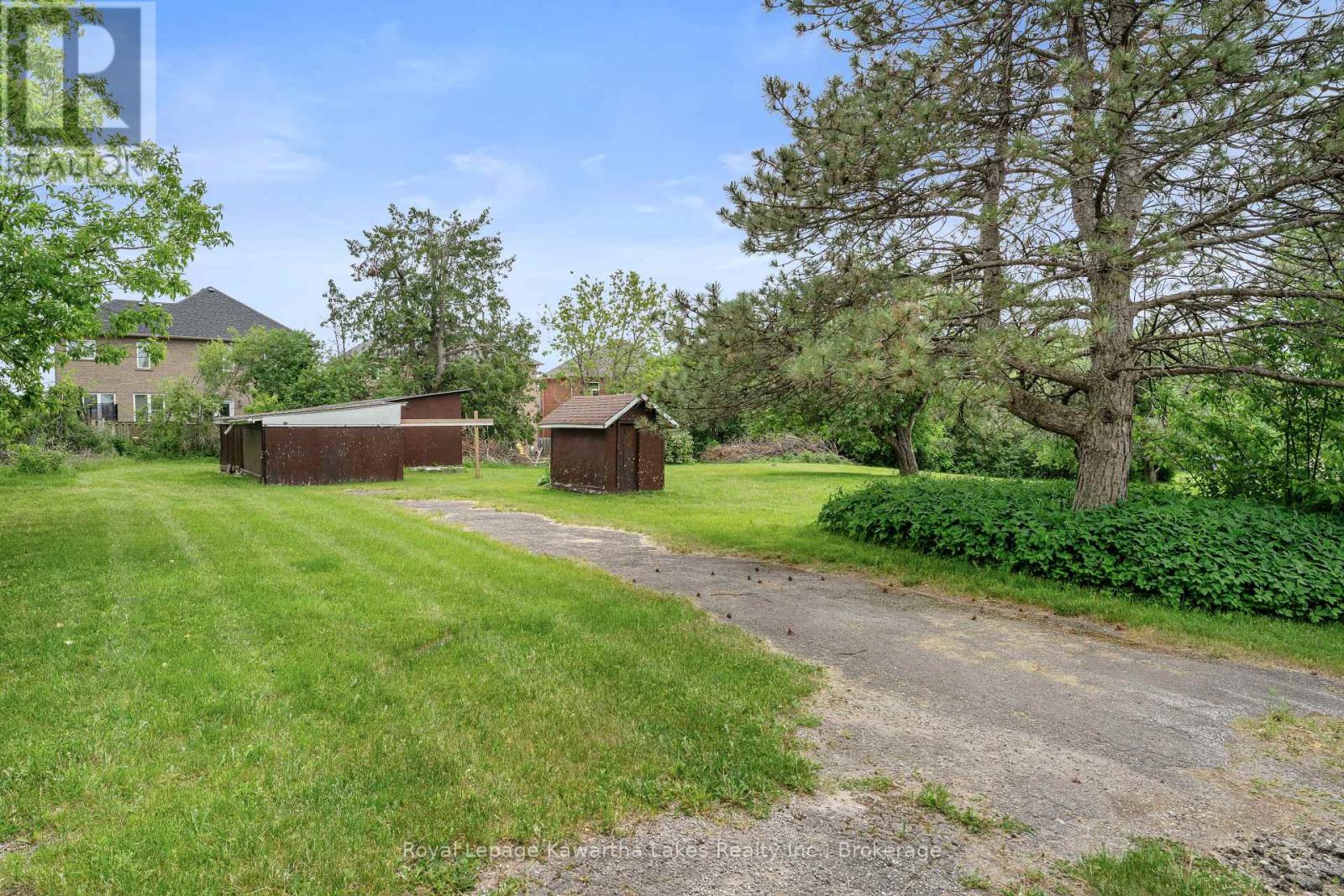 55 Parkside Drive, Kawartha Lakes, Ontario  K9V 5Y1 - Photo 4 - X13419888