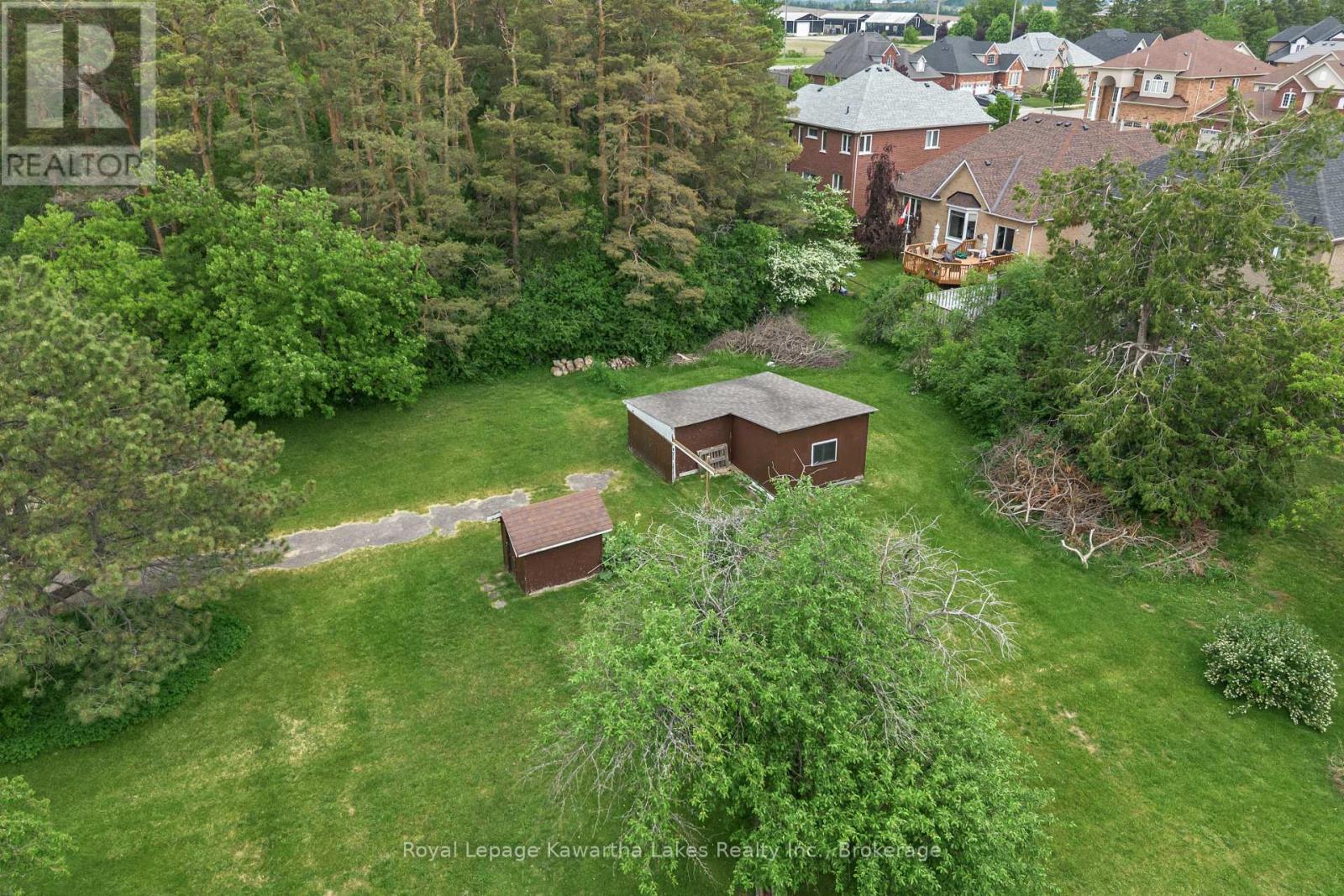 55 Parkside Drive, Kawartha Lakes, Ontario  K9V 5Y1 - Photo 6 - X13419888