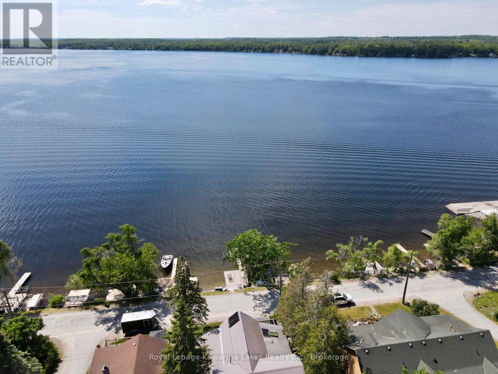 67 Hazel Street, Kawartha Lakes, Ontario  K0M 1L0 - Photo 47 - X13420264