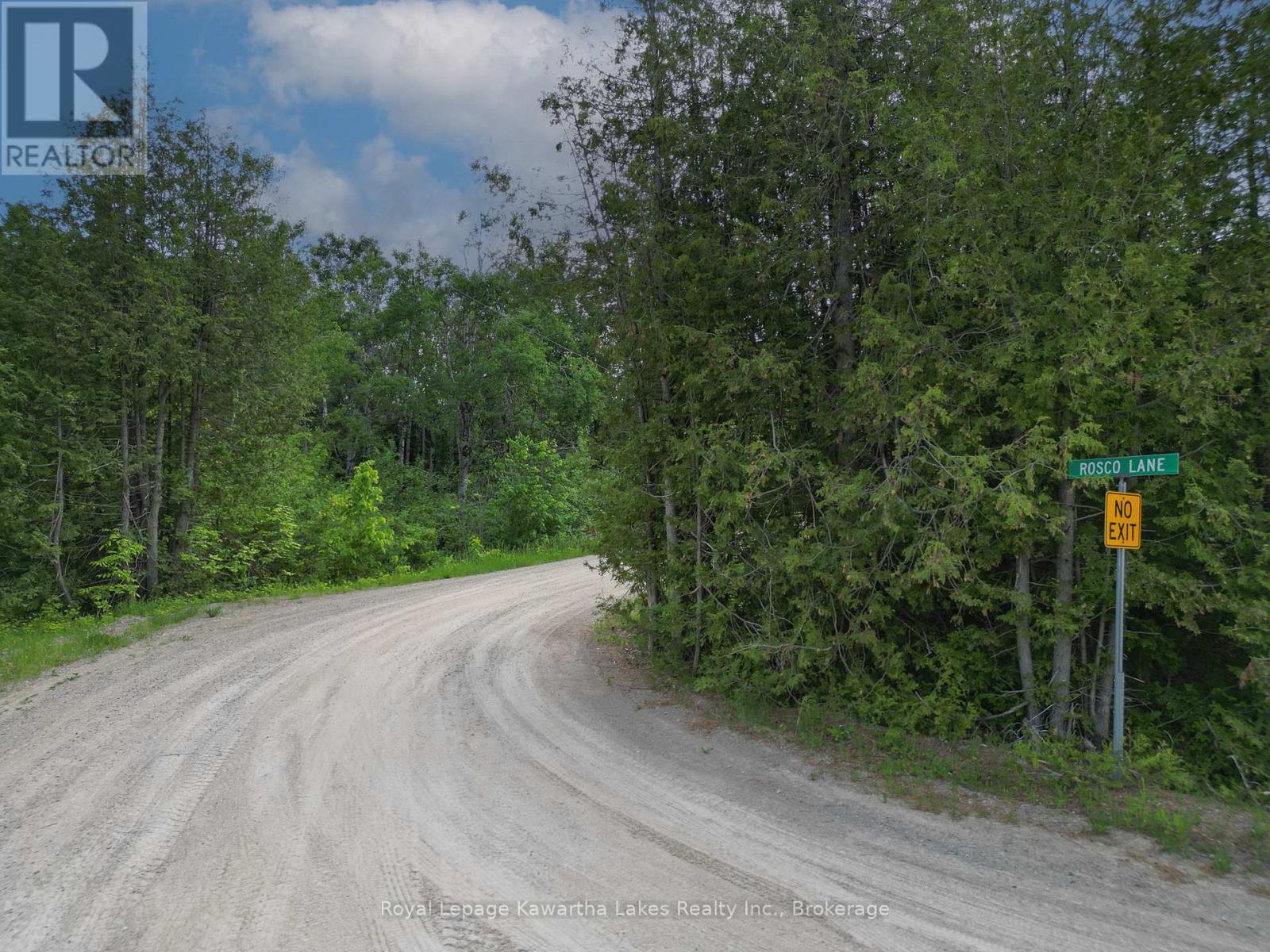 Lt 32 Rosco Lane, Kawartha Lakes, Ontario  K0M 1N0 - Photo 10 - X13454630
