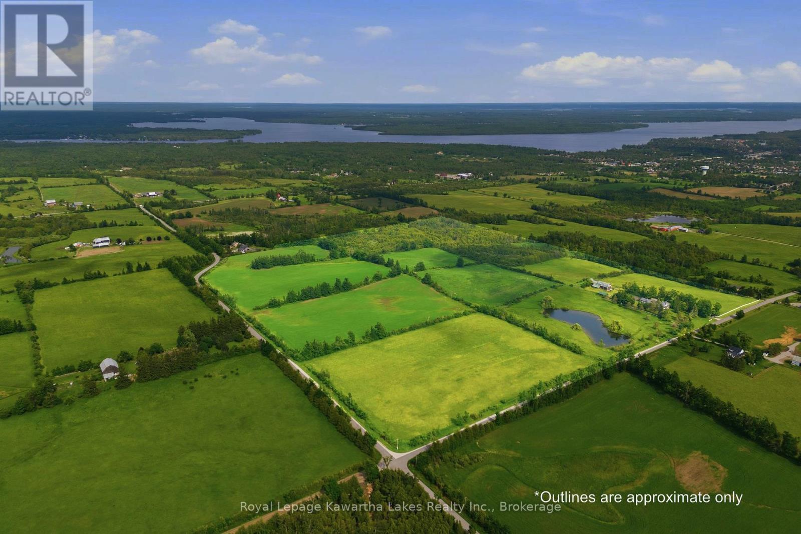 136 Oliver's Road, Kawartha Lakes, Ontario  K0M 1A0 - Photo 2 - X13473184