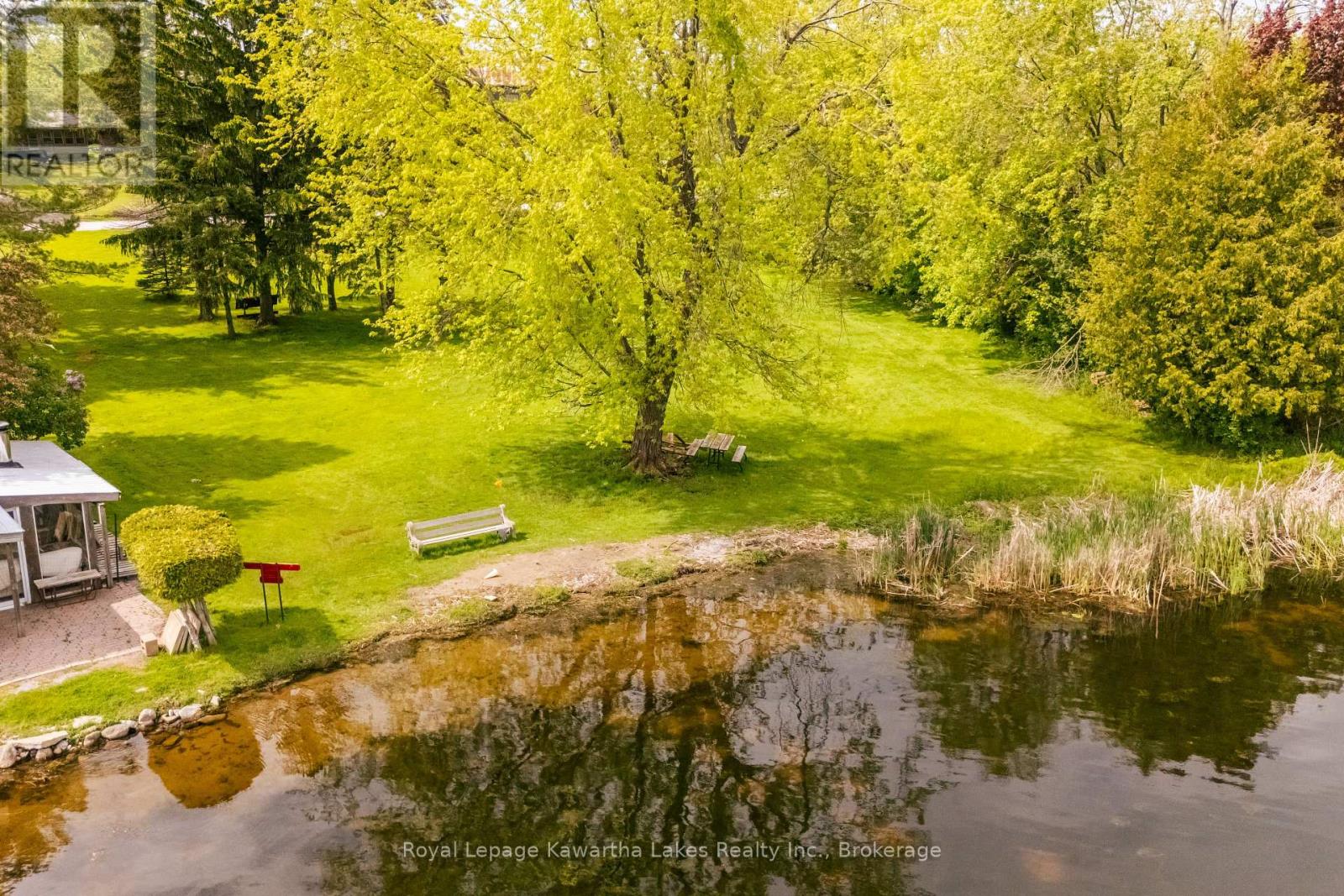 104 Cameron Drive, Kawartha Lakes, Ontario  K0M 1G0 - Photo 39 - X13477454