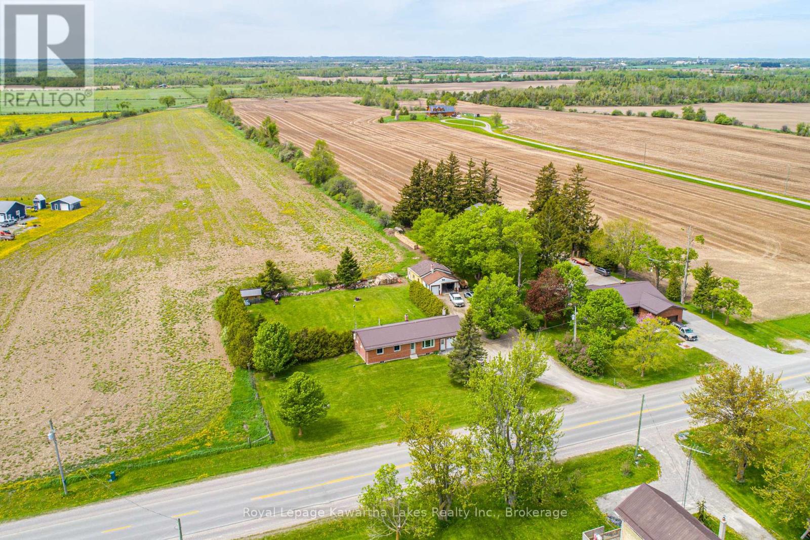 1343 Elm Tree Road, Kawartha Lakes, Ontario  K9V 4R2 - Photo 6 - X13478168