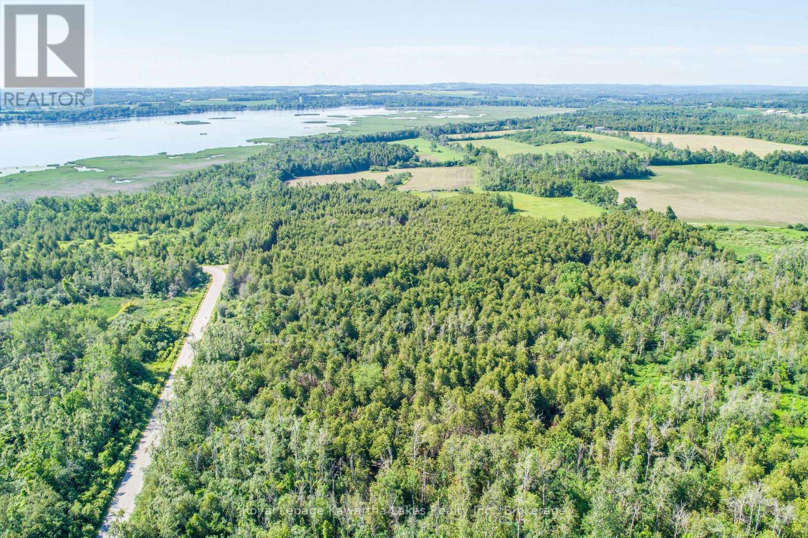 36 Spen Haven Road, Kawartha Lakes, Ontario  K9V 0K3 - Photo 21 - X13505708