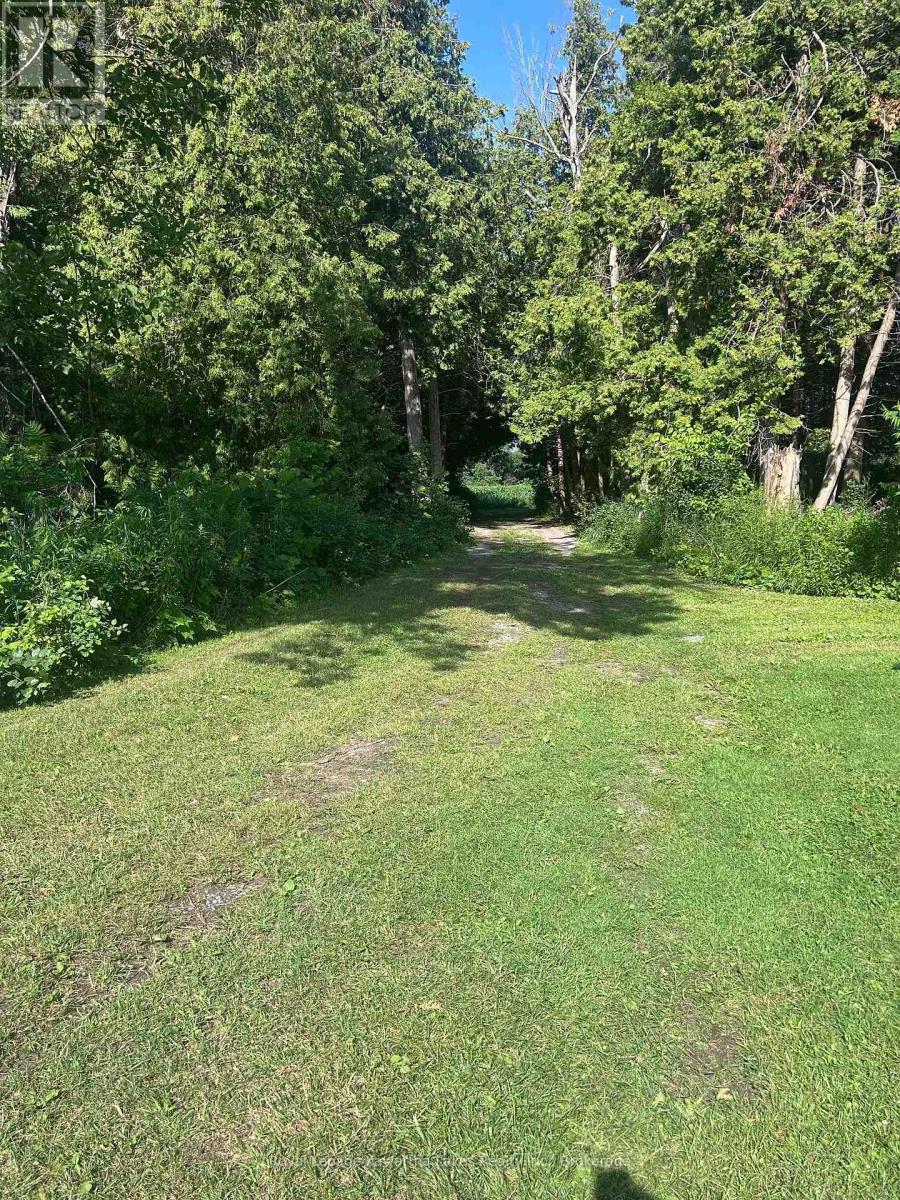36 Spen Haven Road, Kawartha Lakes, Ontario  K9V 0K3 - Photo 29 - X13505708