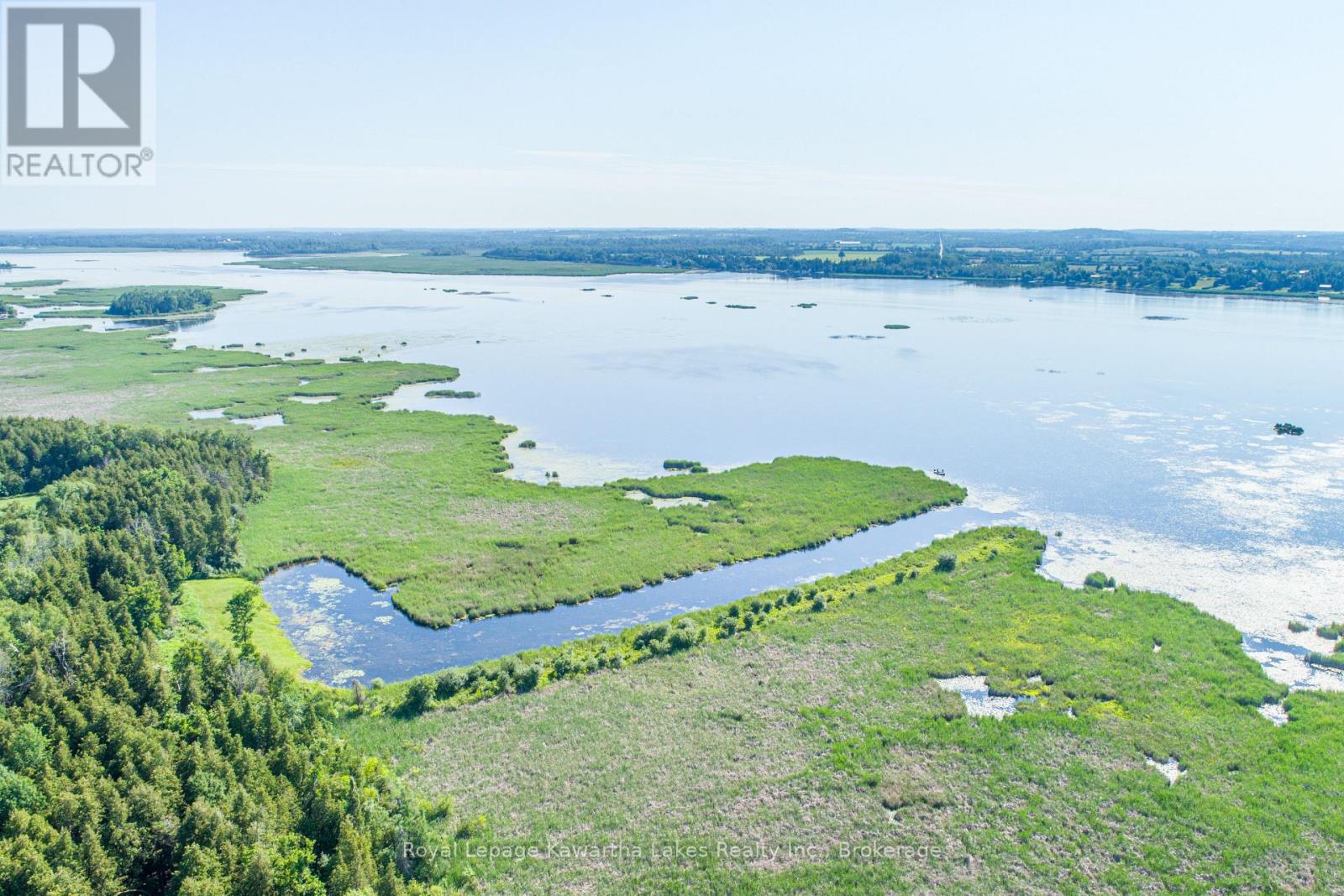 36 Spen Haven Road, Kawartha Lakes, Ontario  K9V 0K3 - Photo 9 - X13505708
