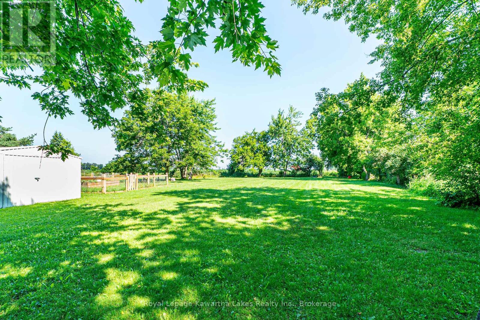 907 Highway 7, Kawartha Lakes, Ontario  K0M 2M0 - Photo 11 - X13561270